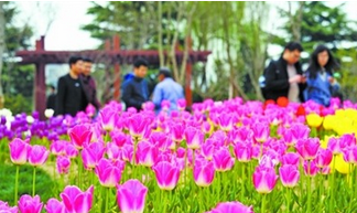 QQ图片20190325101156.png