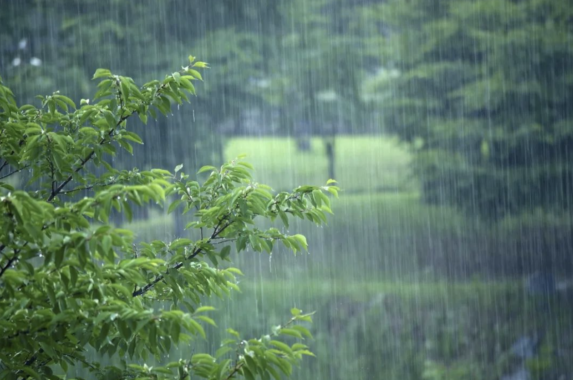 江苏七日谈 | 风雨兼程践初心