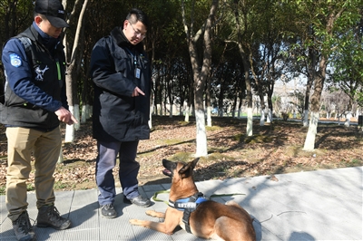 ##全省首批天然气嗅探工作犬落户常州