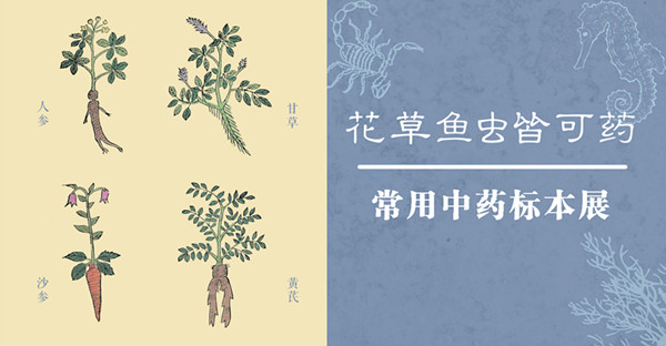 []常州博物馆五一活动多多 清状元钱维城画作在展