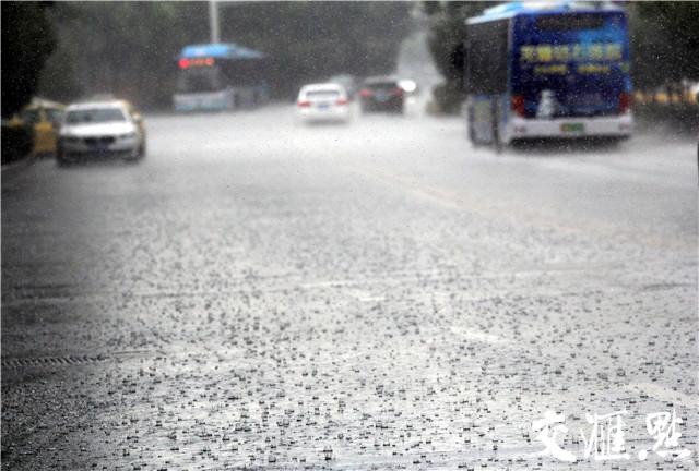 南京突降大暴雨,降温送来一丝清凉