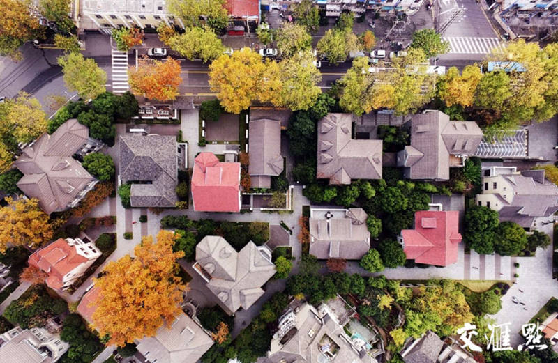 鸟瞰南京颐和路公馆区:秋天的童话