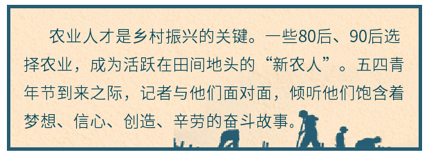 壮丽70年 奋斗新时代·“新农人”故事∣跟着赵亚夫学习，村官打造生态农场