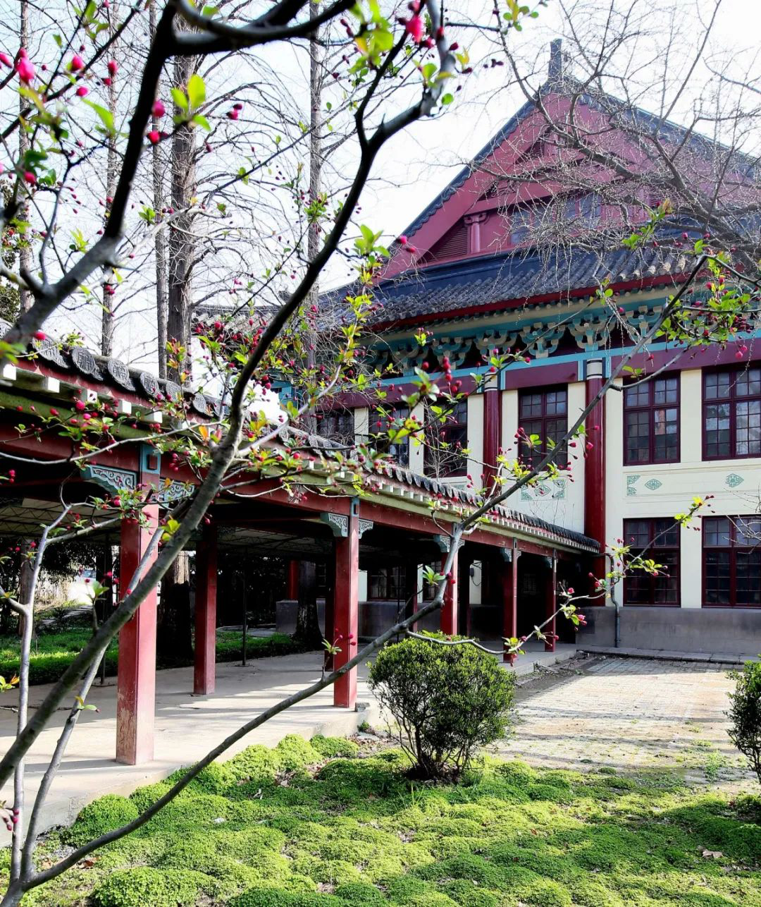 ■春风十里，仿佛见你！一起“云”游江苏高校