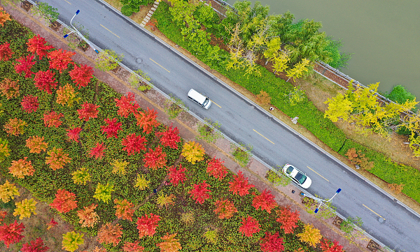 农村公路|数说“十三五”⑦｜畅行乡村，江苏农村公路总里程达14.2万公里