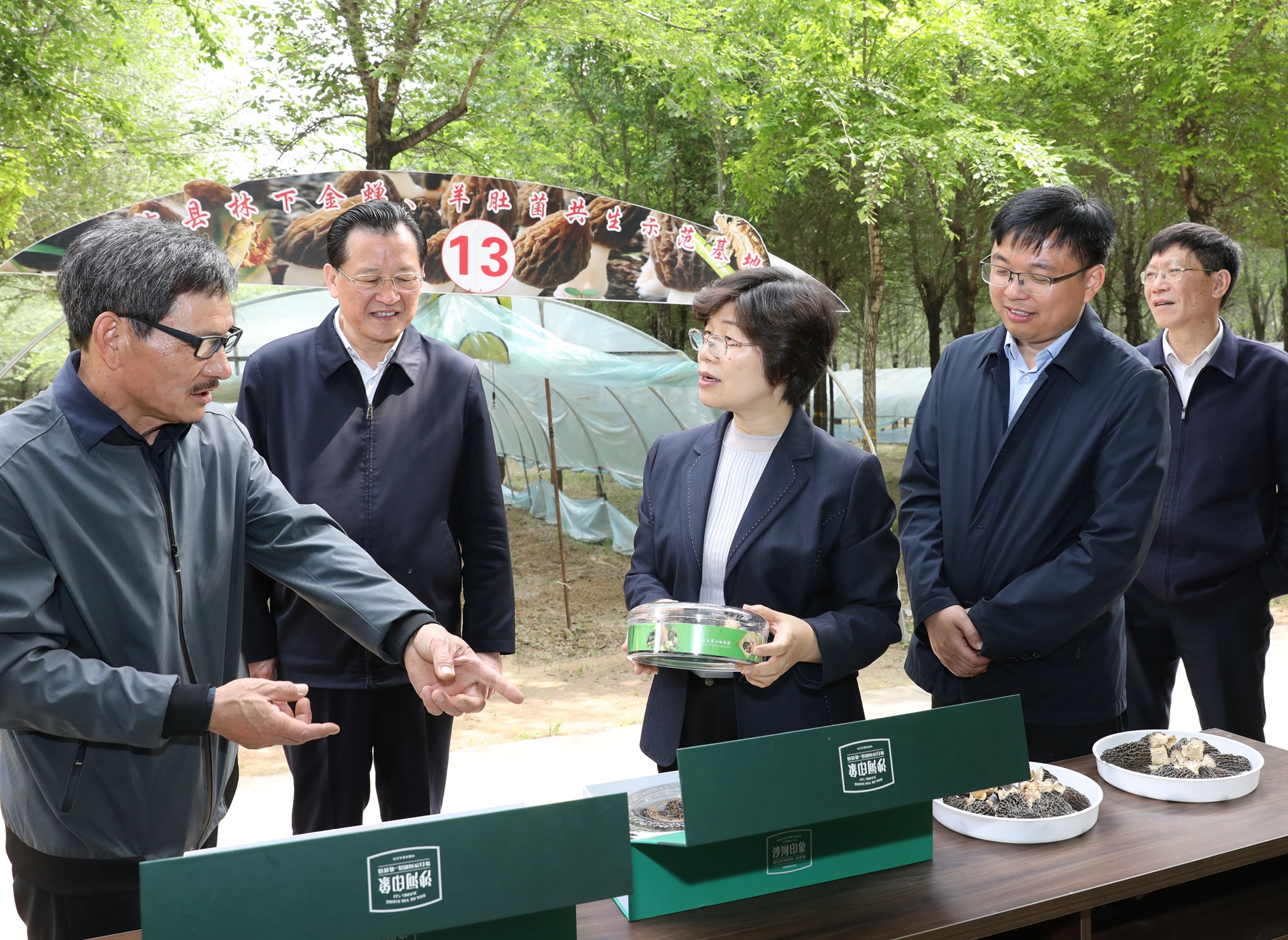 博鱼·综合体育(中国)官方网站入口以高水平生态环境保护支撑高质量发展 张义珍赴徐(图2)