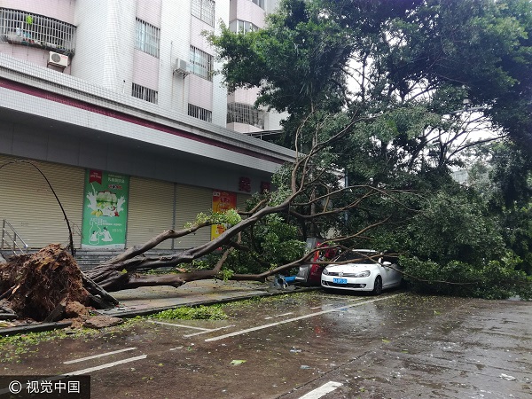 今年最强台风天鸽登录席卷华南港澳地区