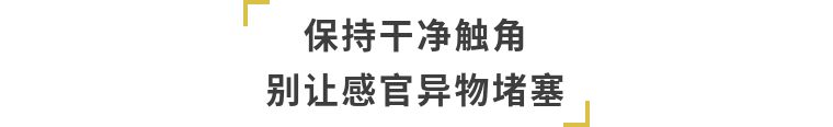 南艺美术学院院长周京新:外效经典,内炼吾心(视频)