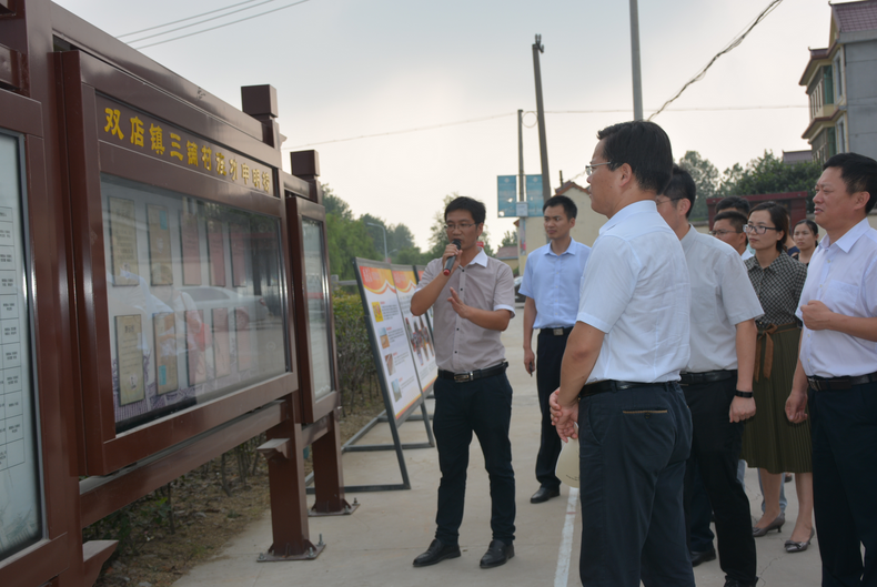 东海双店镇基层党建创新受到全市关注