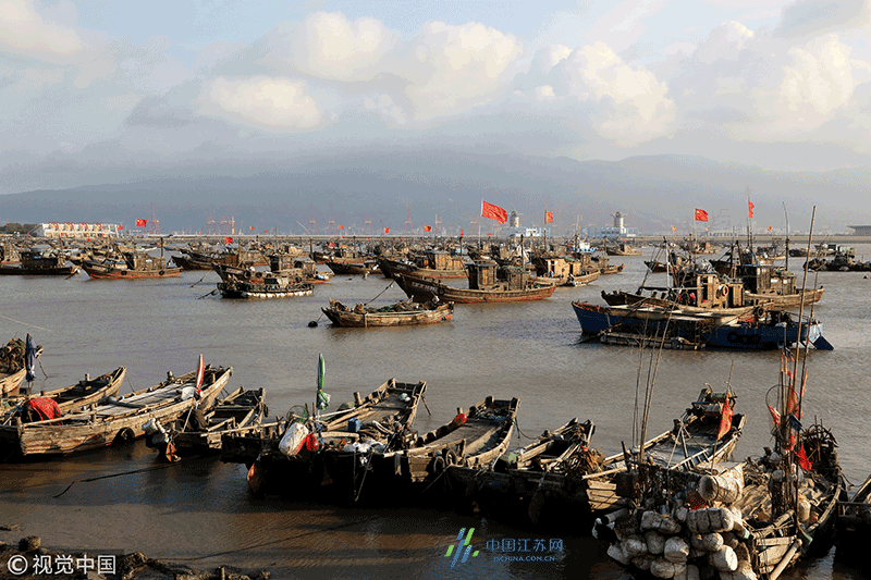 连云港沿海地区渔船回港避台风