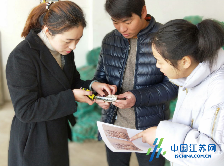 连云港建立牡蛎养殖青年创业基地