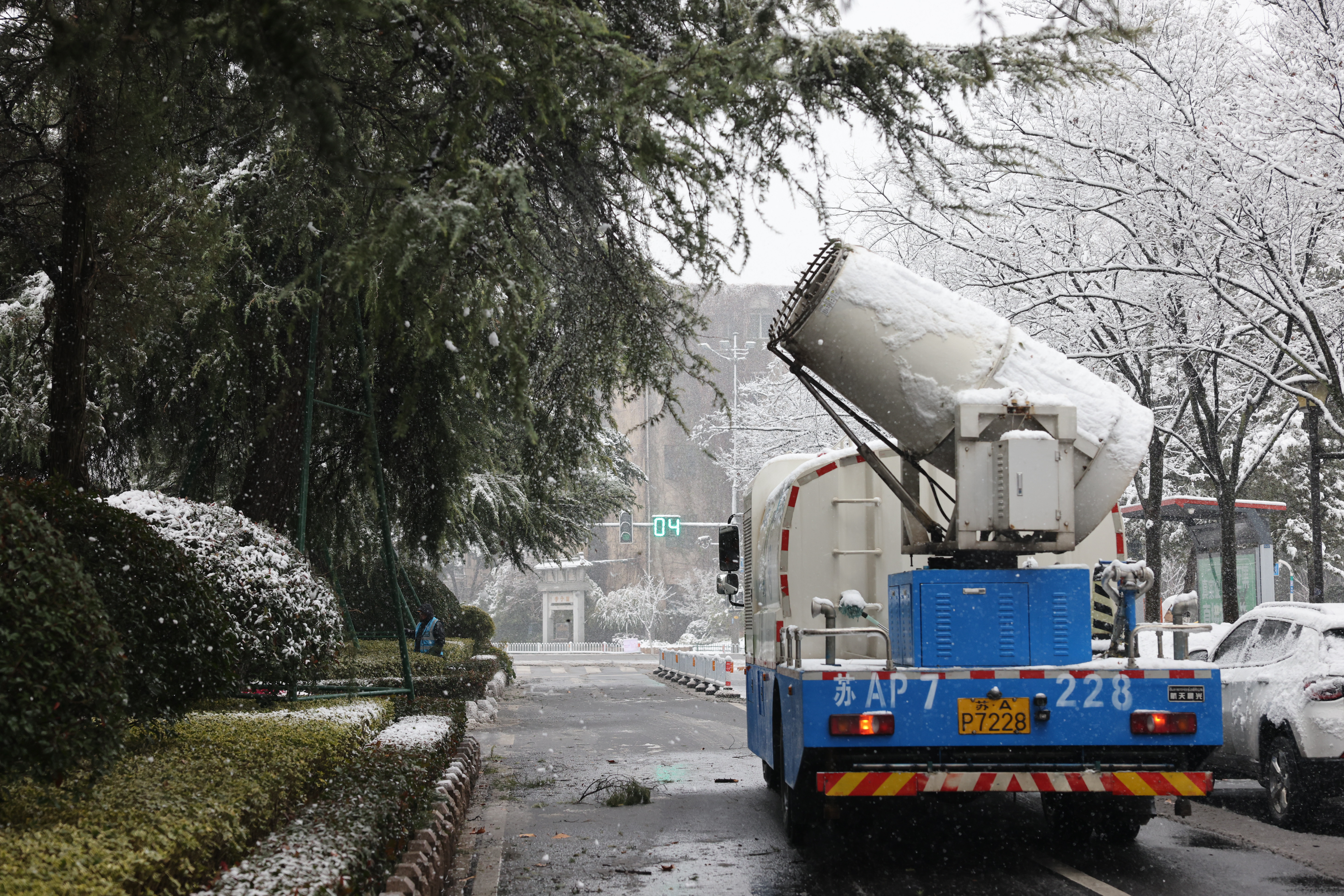 昨日，玄武区园林部门在北京东路街头清除树梢积雪，避免折枝及安全隐患。 南京日报/紫金山新闻记者 徐琦 摄