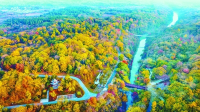 1123A01001_b.jpg