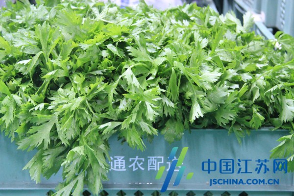 通农配送严格把关 捍卫通城学子们的健康餐桌