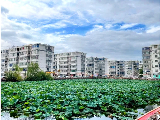 崇川区和平桥街道北濠桥新村人居环境提升进行时