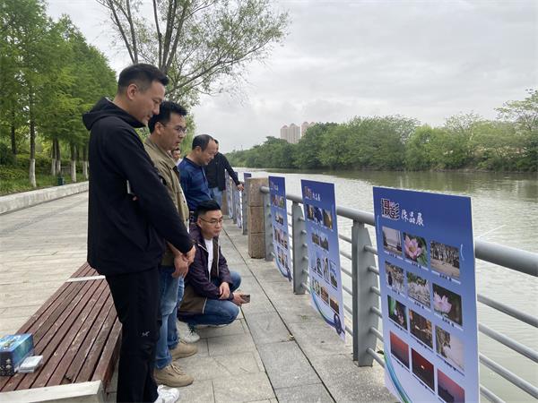 亚新体育南通三里墩社区举行“国际生物多样性日”摄影作品展(图1)