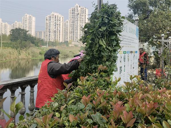 南通通州金新街道：文明创建增活力 社区蝶变展新颜泛亚电竞(图2)