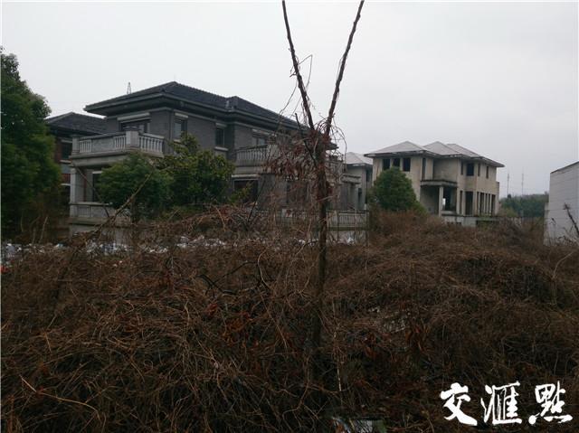 南京一高档别墅小区烂尾7年无法入住 部分别墅