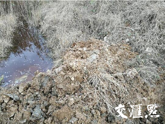 守护青山碧水 南京警方发布2017打击环境污染