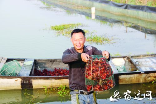 爆款+网红看泗洪清水小龙虾的成长之旅