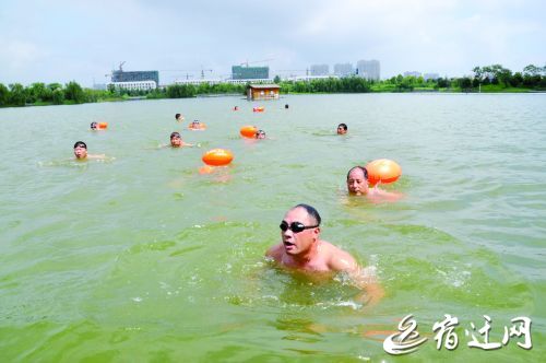 每天近百人自发到泗洪城南公园游泳 盼成立游