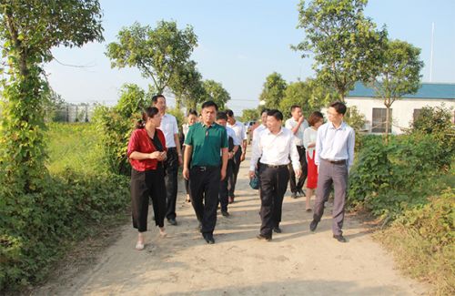 省内首个3亿元政融保支农融资项目花落泗洪