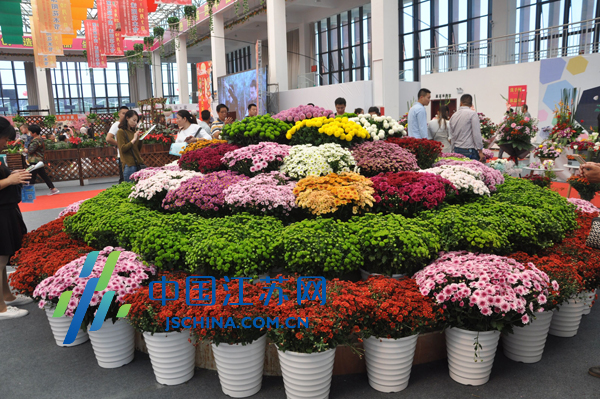 第五届中国·沭阳花木节开幕 同步举办网上花