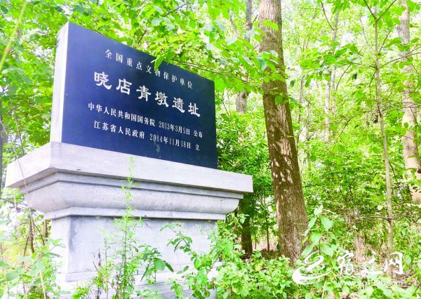 晓店青墩遗址——从远古走来的"国字号"文保单位