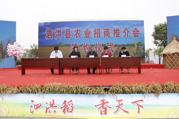 第三届中国泗洪稻米文化节在泗洪县石集乡柳山稻米小镇举行