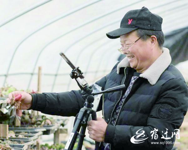 『』沭阳“老姜”直播卖多肉 4天涨粉近400个