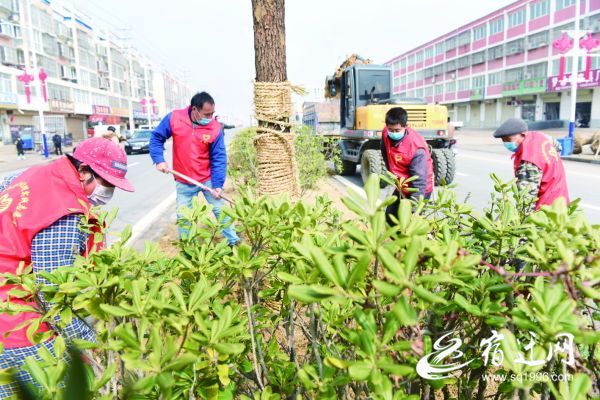 ■泗洪：抢抓时节植树造林