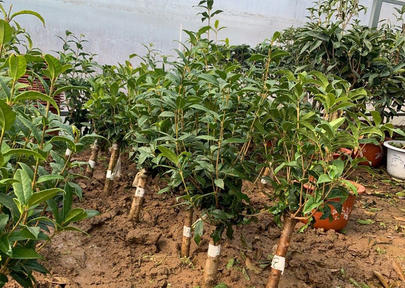 @宿迁：疫情面前凝聚诚信力量 为城市文明增加底色