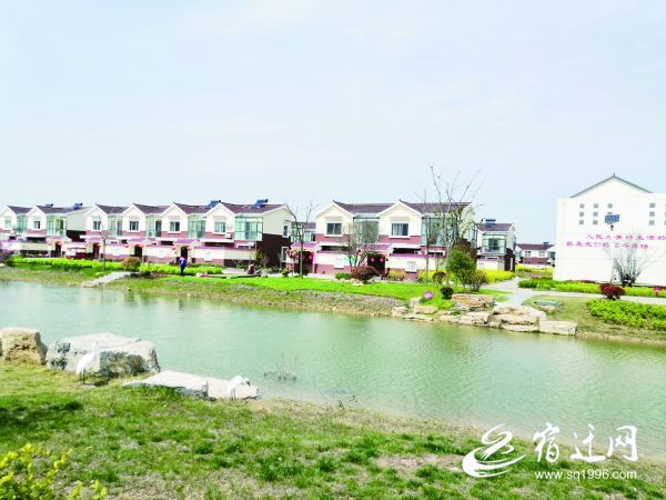 「」四年时间，集体收入增加20倍！宿迁振友社区脱贫致富路子活
