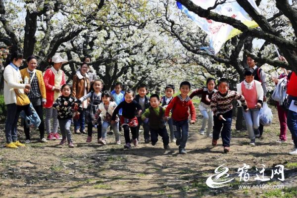 []宿豫梨园花开，4月2日邀您“云赏花”