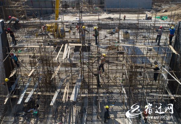 「」泗洪：防汛工程建设忙