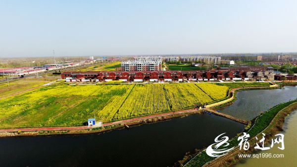 『』沭阳：做好“花木+旅游”文章，特色产业“变身”旅游新秀