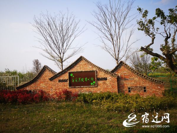■泗阳小村“保洁队”化身卫生“大管家”打造乡村宜居环境