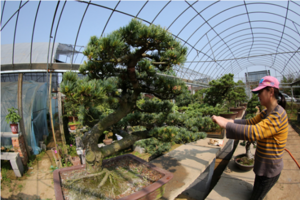 @宿迁双荡村：贫困村华丽蜕变水美乡村