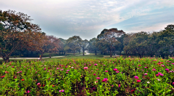 @宿迁双荡村：贫困村华丽蜕变水美乡村