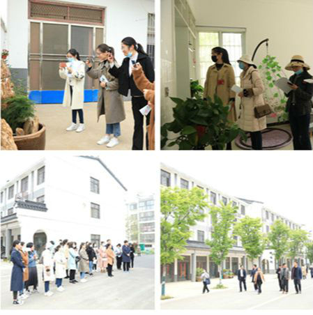 「」庭院创建展风采 泗洪“美丽巾帼”观摩推动再发力