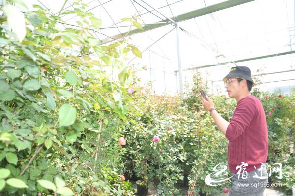 ■从田间到车间 宿迁沭阳助力扶贫“加速度”