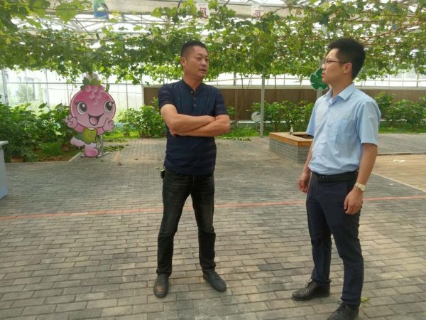 |把年轻干部送到一线“补课”还选配“导师”定制化培养 宿城这波操作“接地气”