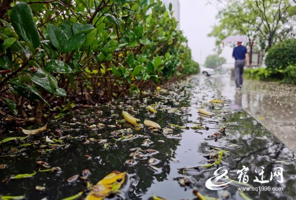|今起到周六 宿迁的雷阵雨“天天见”