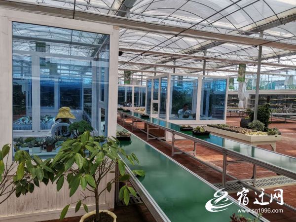 |手机变身“新农具” 直播变成“新农活”，宿迁直播电商为“电商名城”加油助跑！
