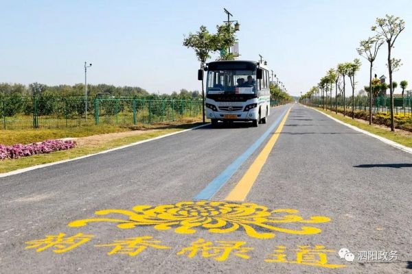 |喜讯！泗阳又一项目获省级示范！