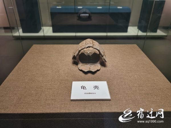 |沭阳县博物馆：触摸最美的历史图景