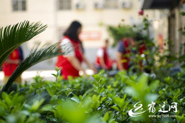 |“文明使者”进社区