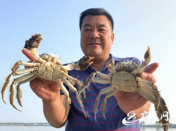 |宿迁市湖滨新区：改“农路”走“水路” 特色水产养殖孕育致富新希望