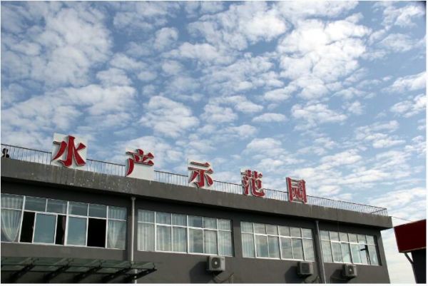 |宿迁宿豫：藕遇小龙虾 “漾”出经济生态双效益