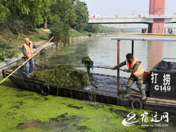 |河道“美容师”“河”你在一起